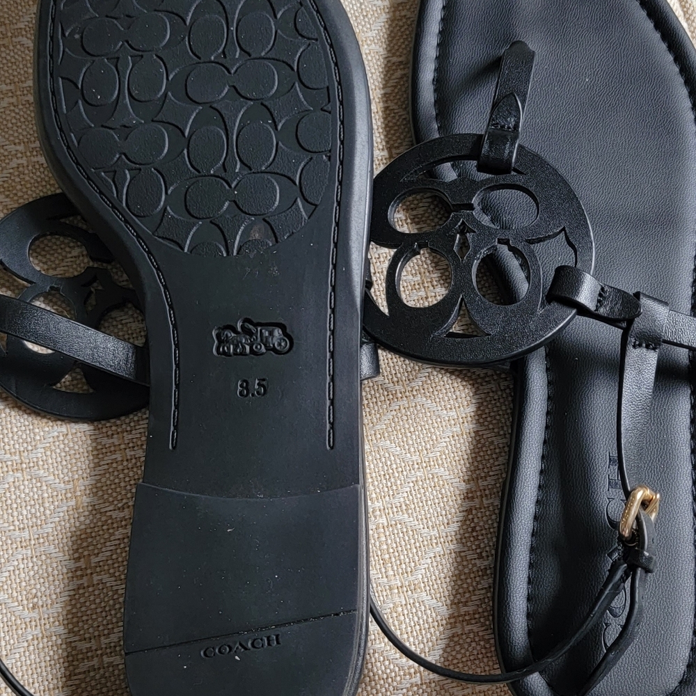 Coach Sandals
